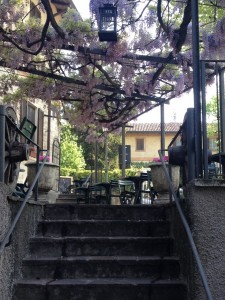 Dehor sotto il glicine   